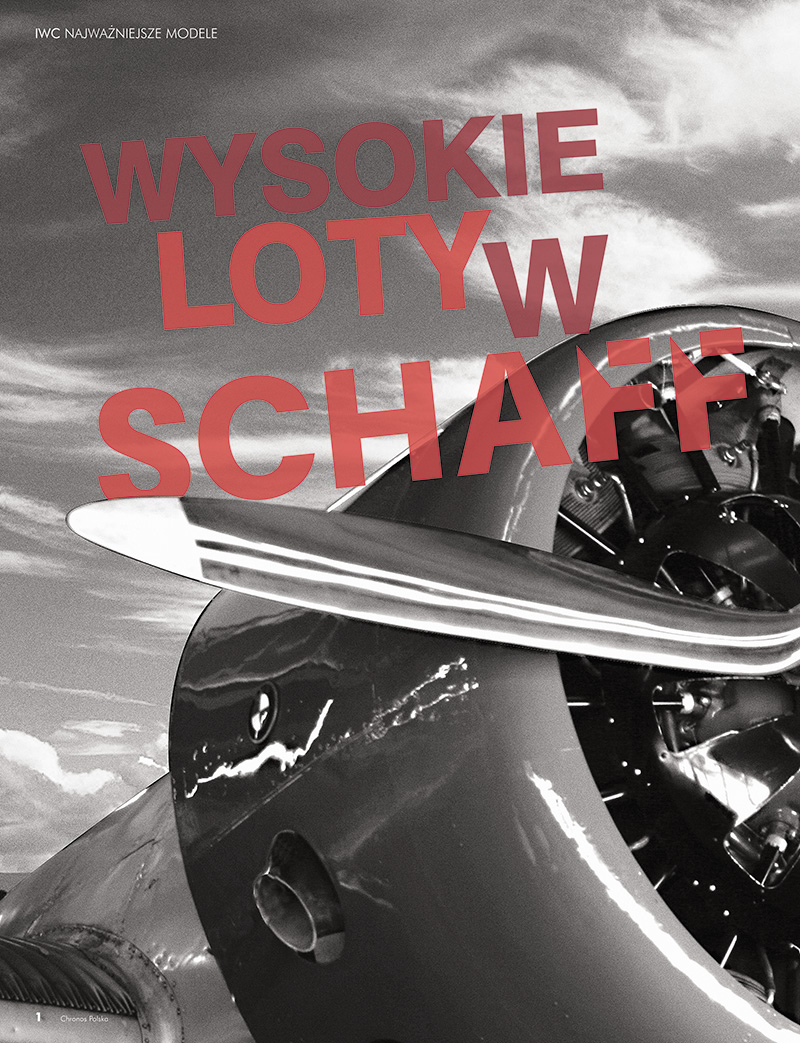 Wysokie loty w Schaffhausen Wysokie loty w Schaffhausen